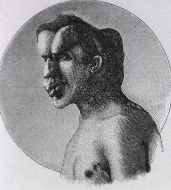 Picture33